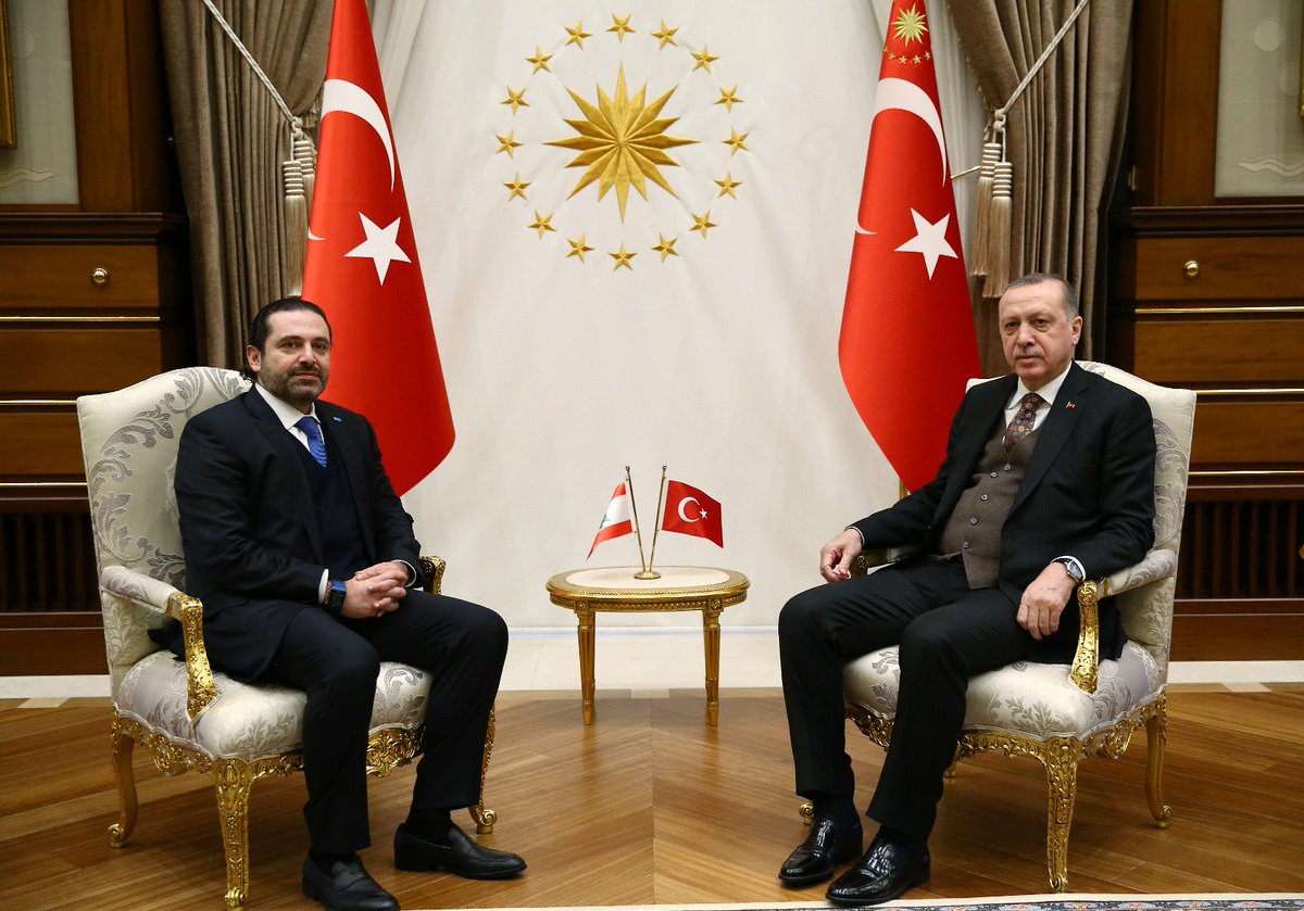أردوغان والحريري (إنترنت)