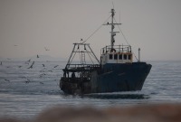 قارب صيد يصل إلى ميناء شينغجين ألبانيا (رويترز)