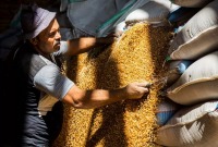 رغم الاحتجاجات.. "الإدارة الذاتية" ترفض تعديل سعر القمح شمال شرقي سوريا
