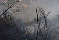 حريق جسر الشغور