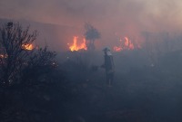 بعد المشي ساعتين بين الجبال، الدفاع المدني يخمد حريقاً ضخماً في أحراش عفرين