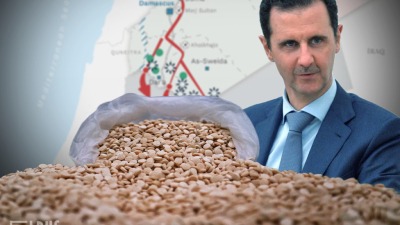 الأسد والكبتاغون: صورة تعبيرية - المصدر: الإنترنت