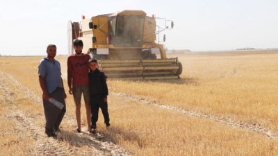 الزراعة في شمال شرقي سوريا