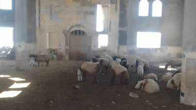 بعد قصفه وتدميره.. قوات النظام تحول مسجداً في ريف حماة لحظيرة أغنام
