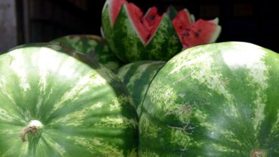 Watermelon1.jpg